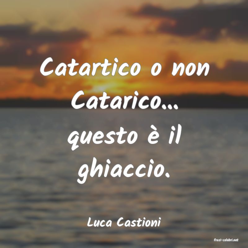 frasi di Luca Castioni