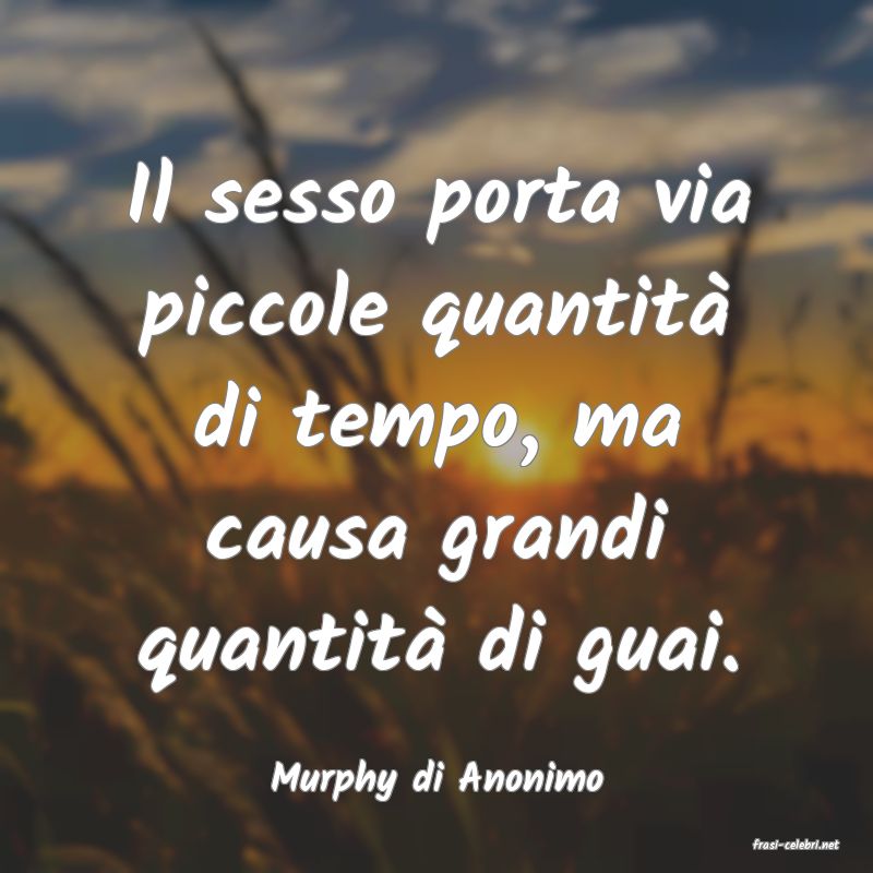 frasi di Murphy di Anonimo