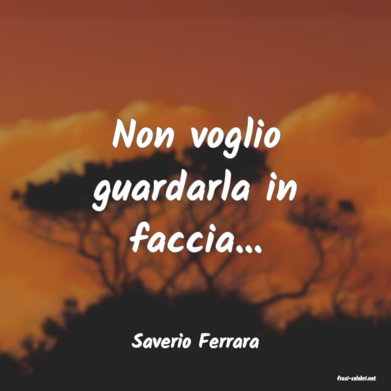 frasi di  Saverio Ferrara

