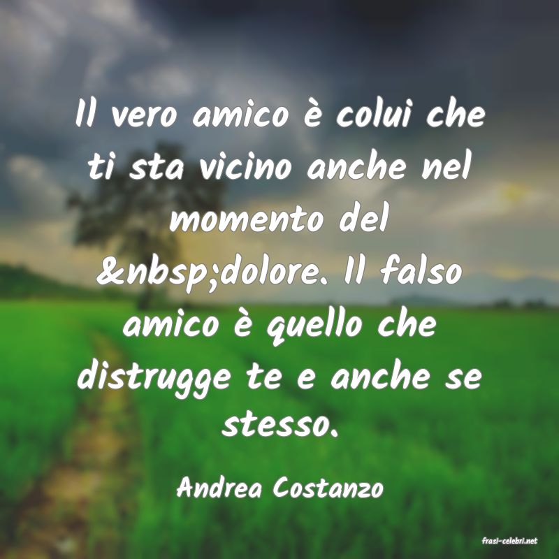 frasi di  Andrea Costanzo
