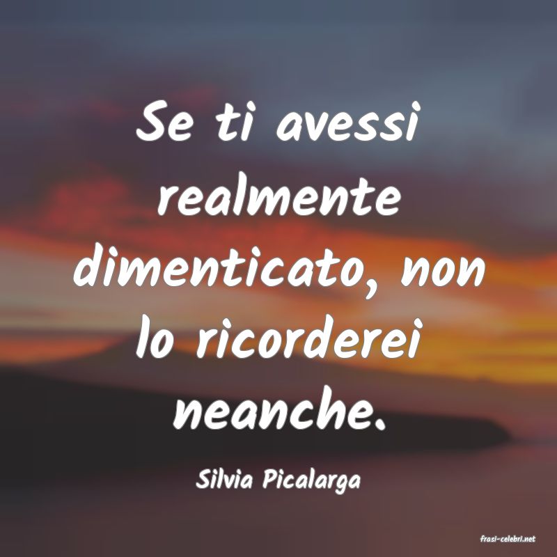frasi di  Silvia Picalarga
