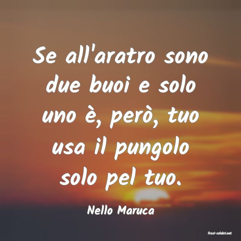 frasi di  Nello Maruca
