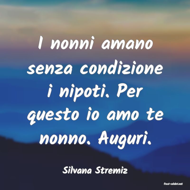 frasi di Silvana Stremiz