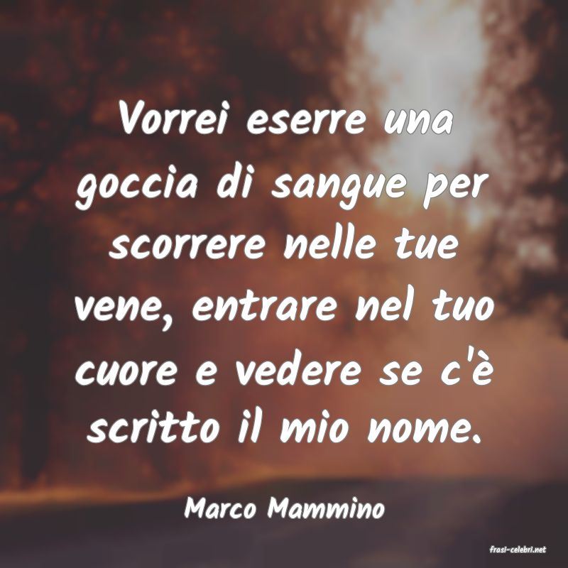 frasi di Marco Mammino