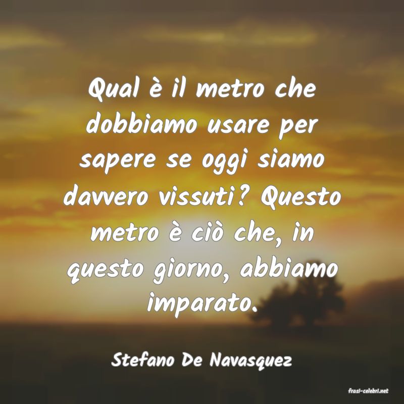 frasi di Stefano De Navasquez