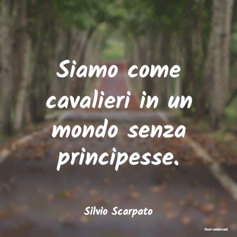 frasi di Silvio Scarpato