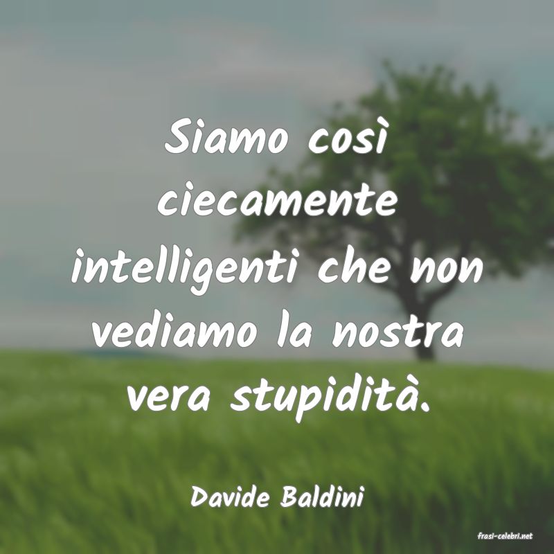 frasi di Davide Baldini