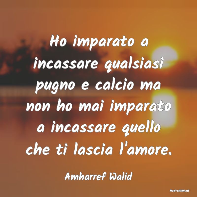 frasi di Amharref Walid