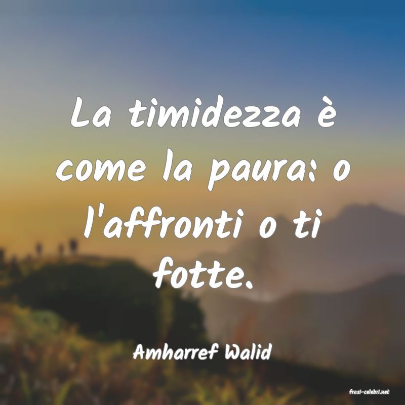 frasi di  Amharref Walid
