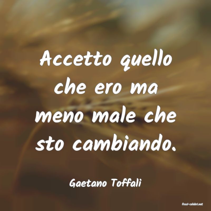 frasi di  Gaetano Toffali
