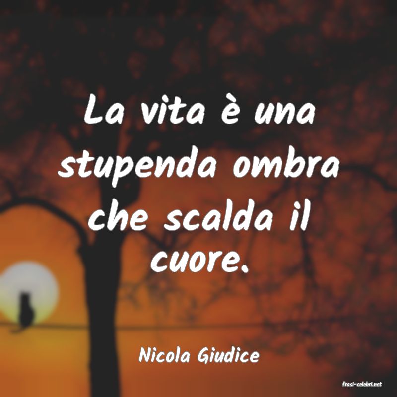 frasi di Nicola Giudice