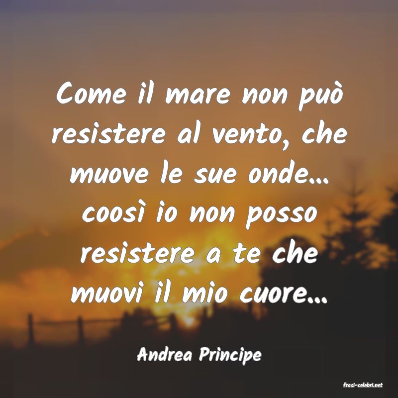 frasi di Andrea Principe