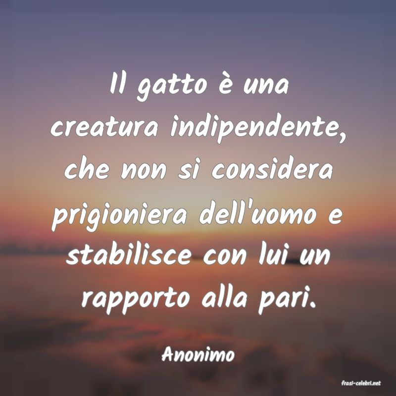 frasi di Anonimo
