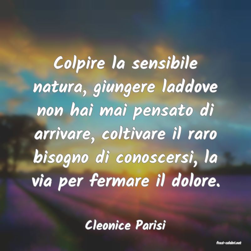 frasi di Cleonice Parisi