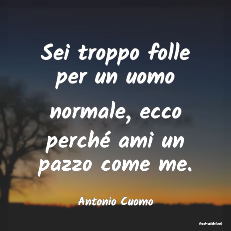 frasi di  Antonio Cuomo
