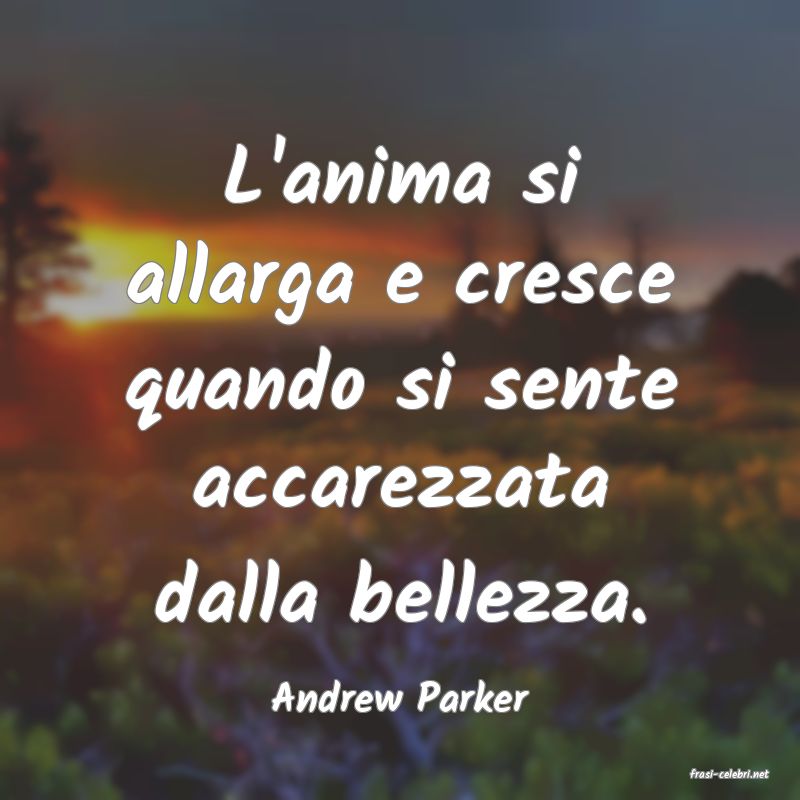frasi di  Andrew Parker
