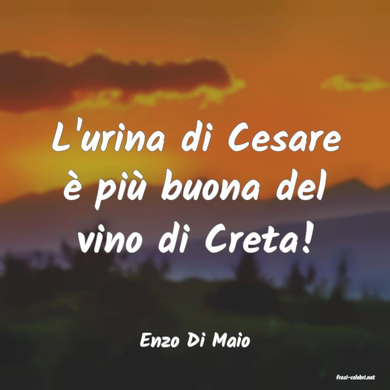frasi di  Enzo Di Maio
