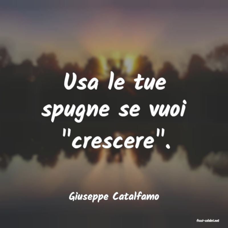 frasi di  Giuseppe Catalfamo
