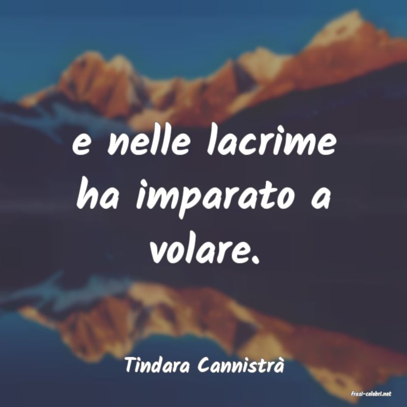 frasi di Tindara Cannistr