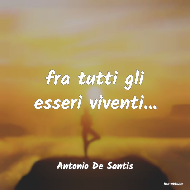 frasi di  Antonio De Santis

