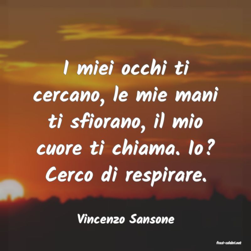 frasi di  Vincenzo Sansone
