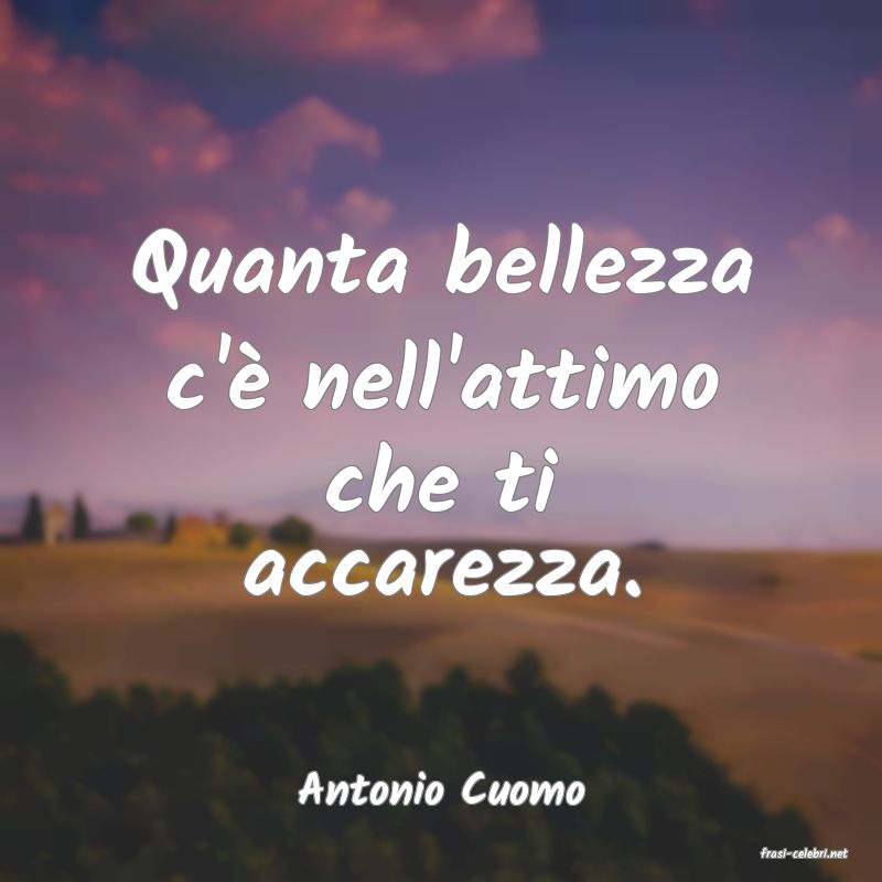 frasi di Antonio Cuomo