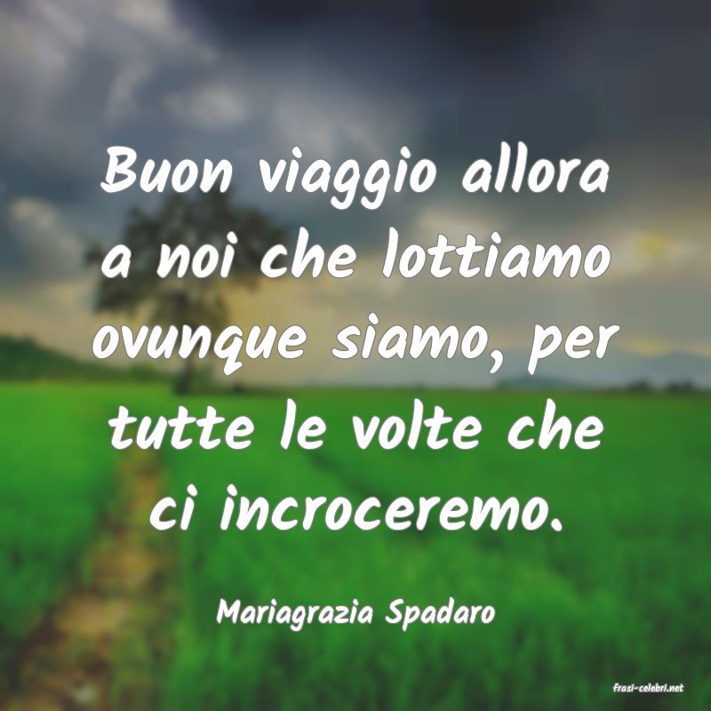 frasi di  Mariagrazia Spadaro
