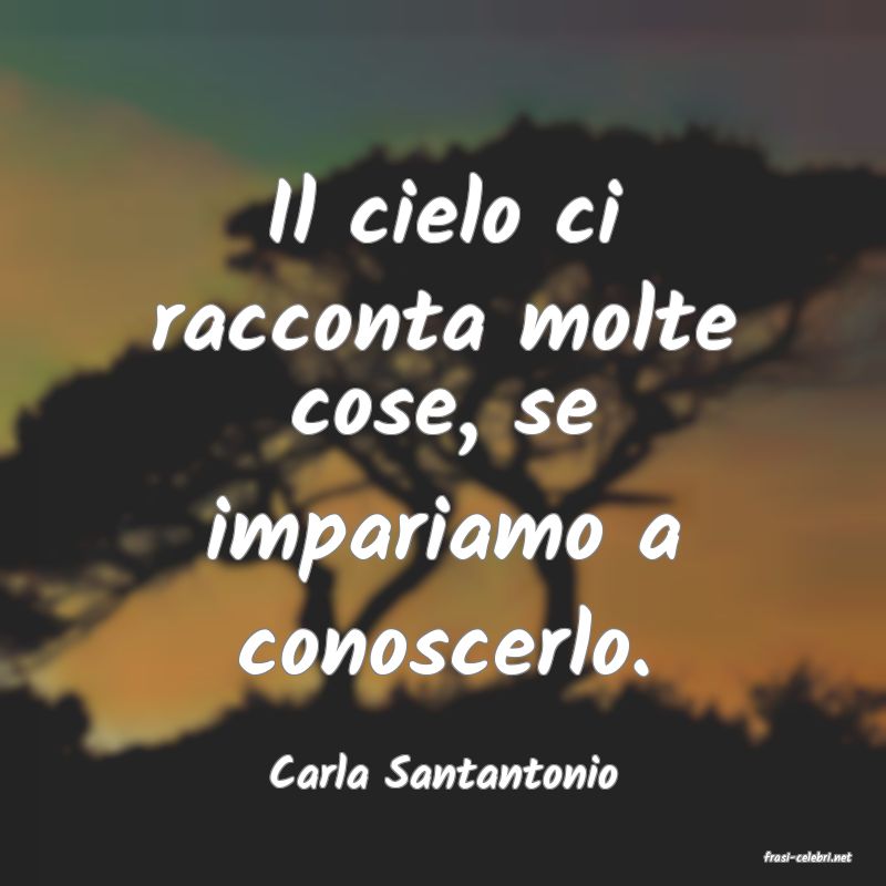 frasi di  Carla Santantonio
