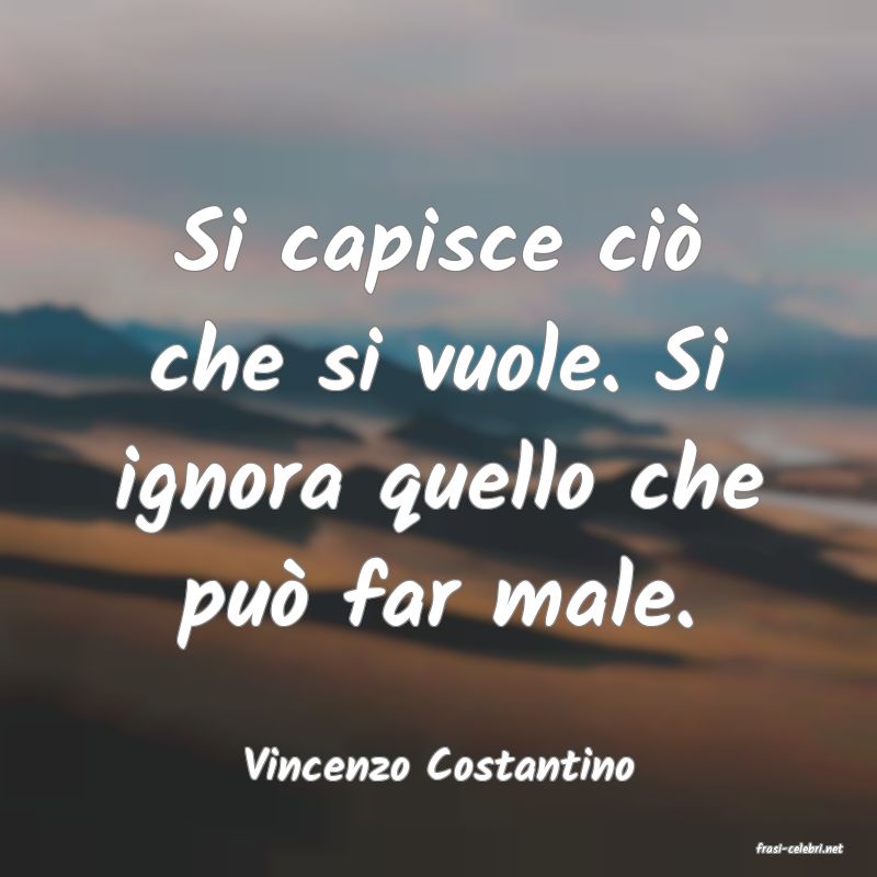 frasi di  Vincenzo Costantino

