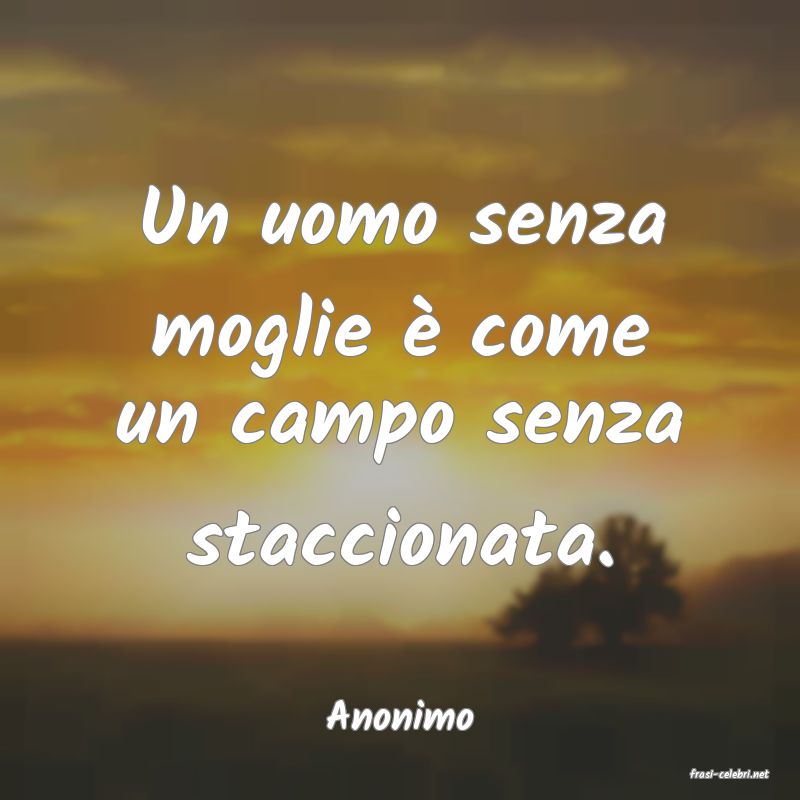 frasi di Anonimo