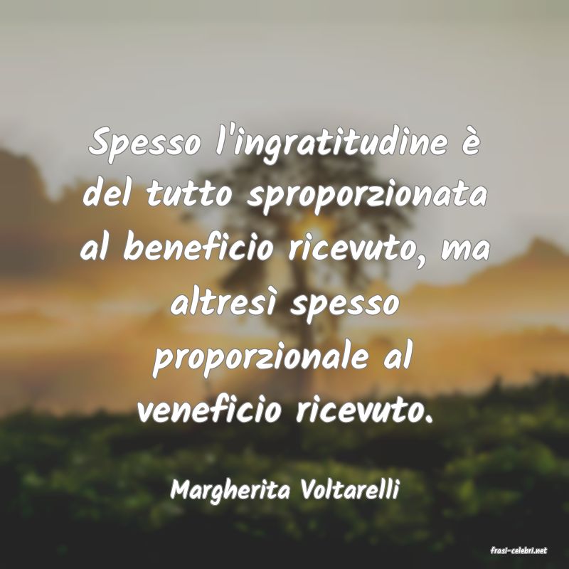 frasi di  Margherita Voltarelli
