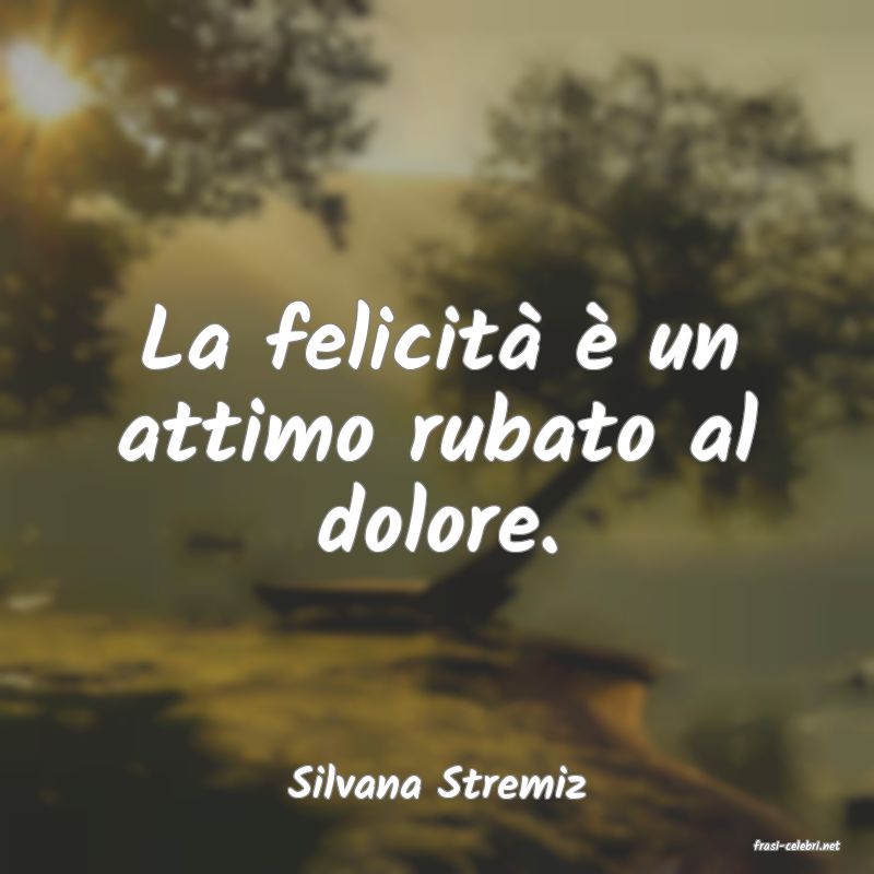 frasi di Silvana Stremiz