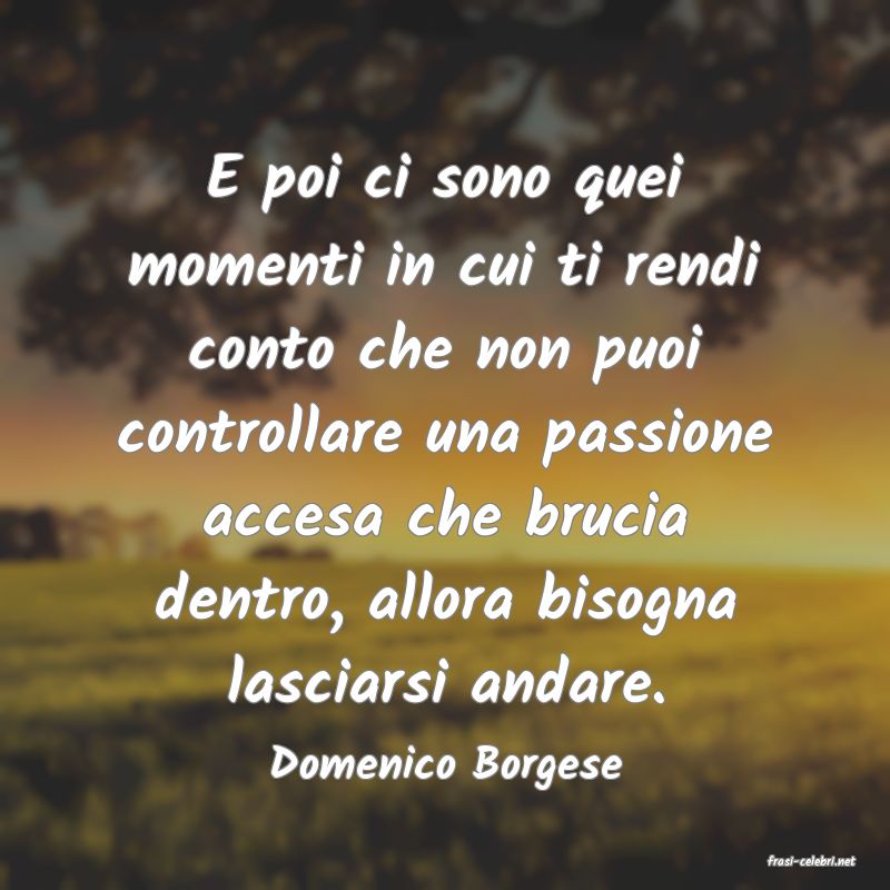 frasi di  Domenico Borgese
