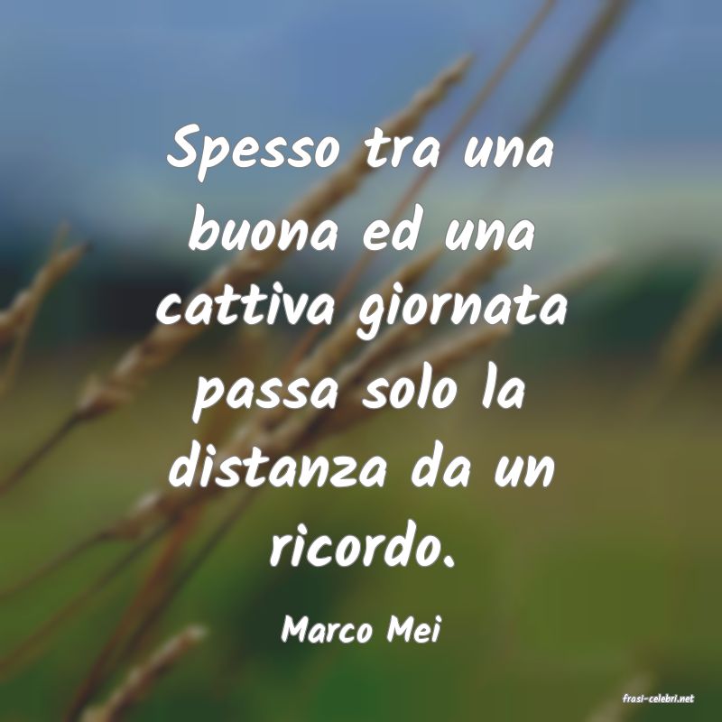 frasi di  Marco Mei
