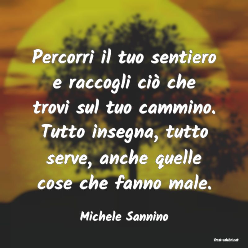 frasi di  Michele Sannino
