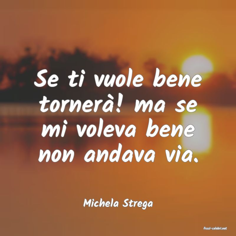 frasi di  Michela Strega
