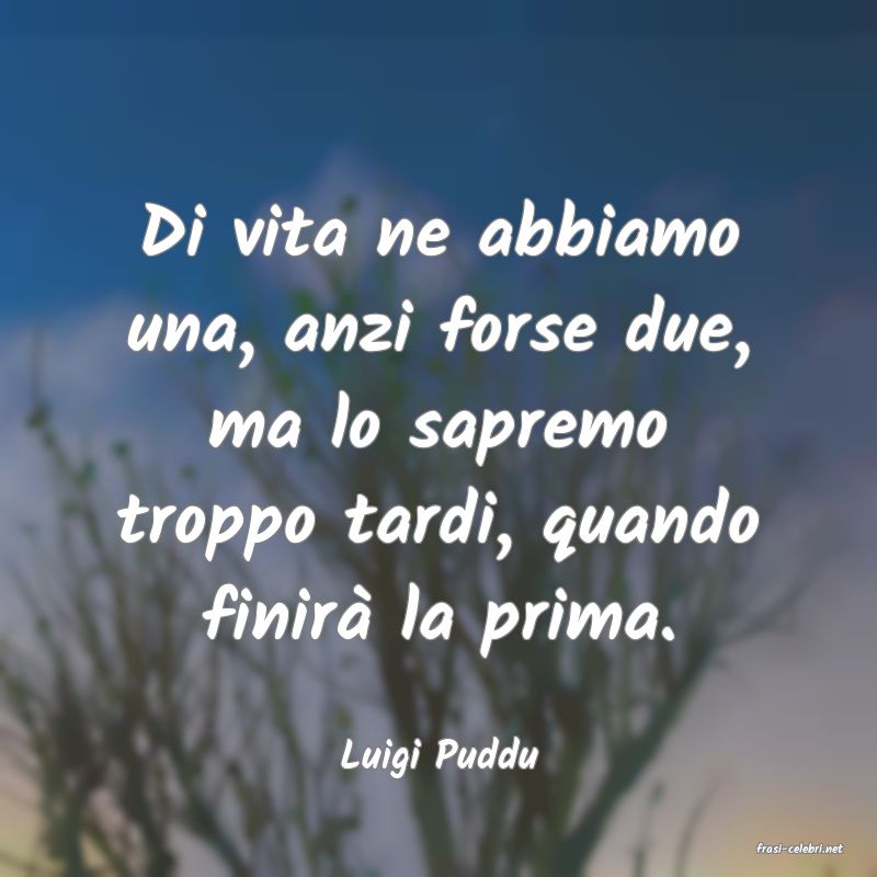 frasi di  Luigi Puddu
