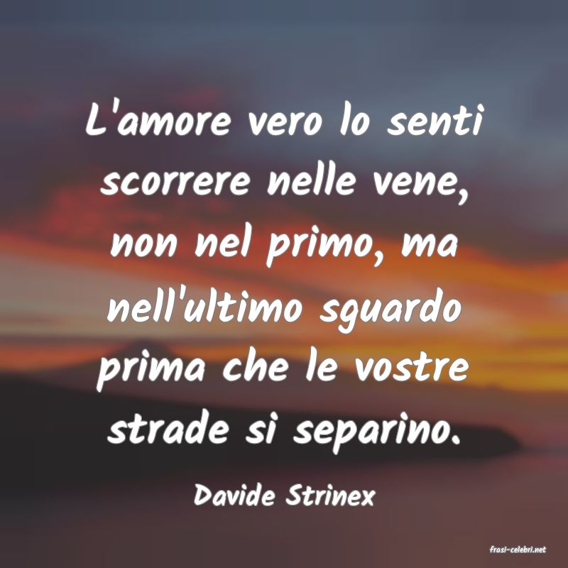 frasi di  Davide Strinex

