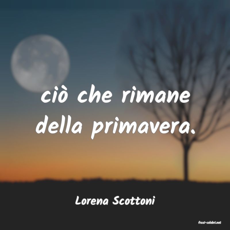 frasi di  Lorena Scottoni

