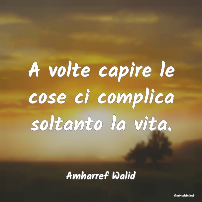 frasi di  Amharref Walid
