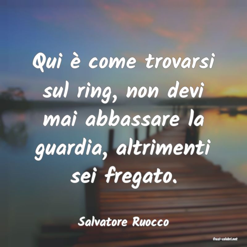 frasi di Salvatore Ruocco