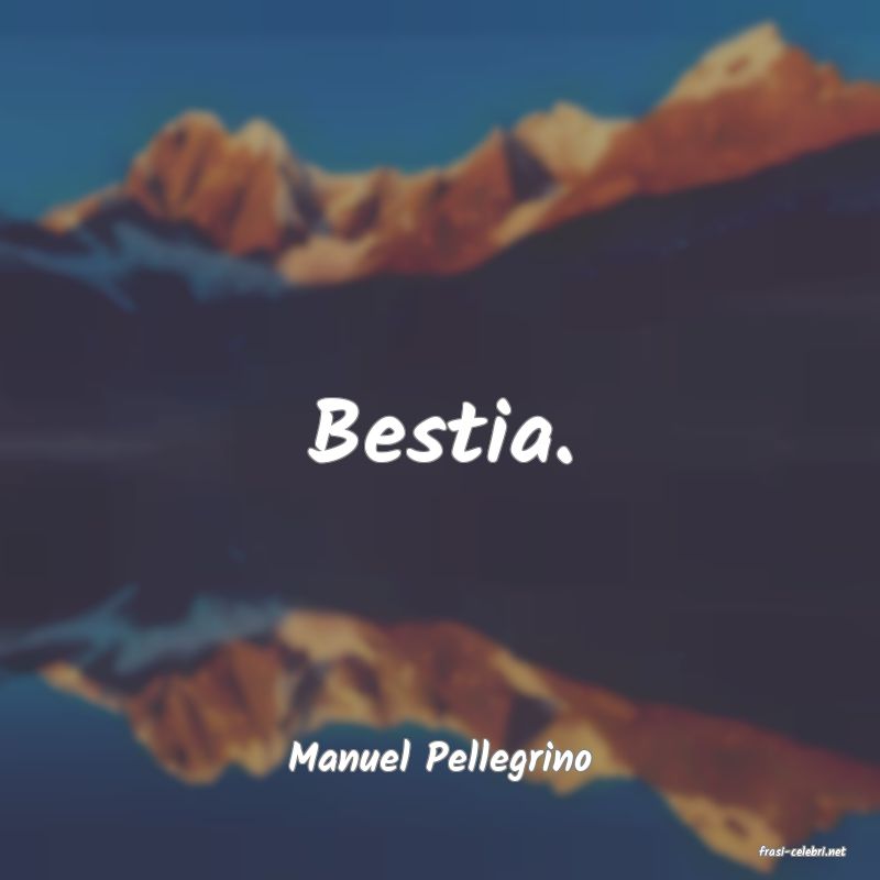frasi di  Manuel Pellegrino
