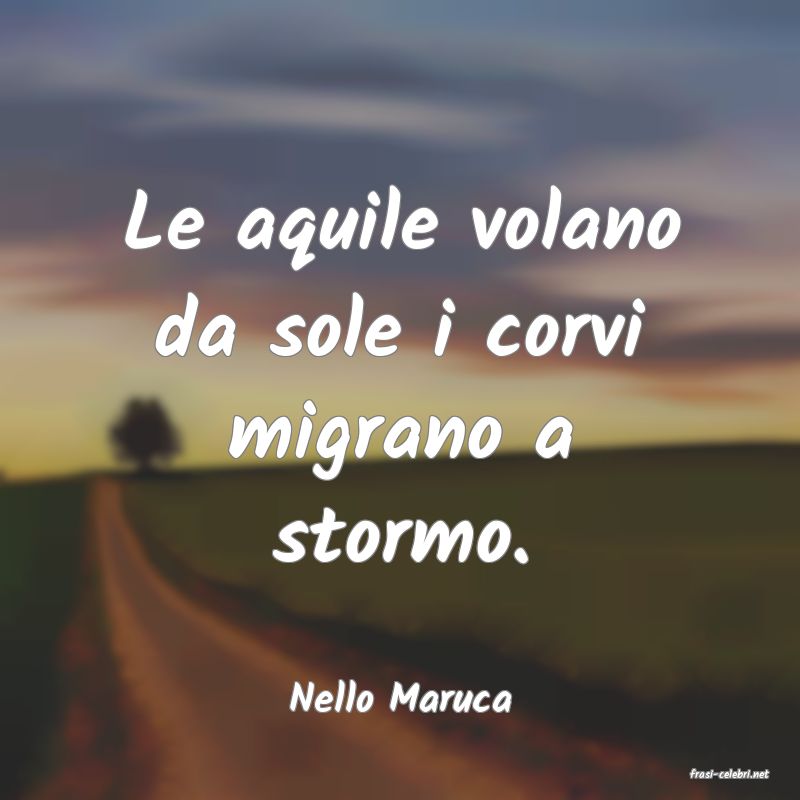 frasi di  Nello Maruca
