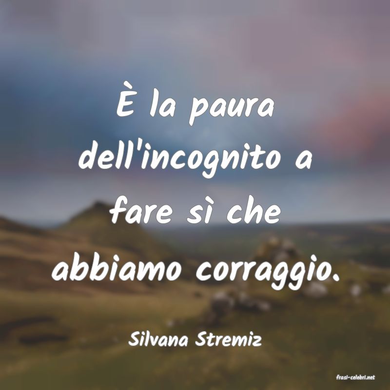 frasi di  Silvana Stremiz
