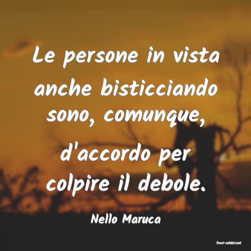 frasi di  Nello Maruca
