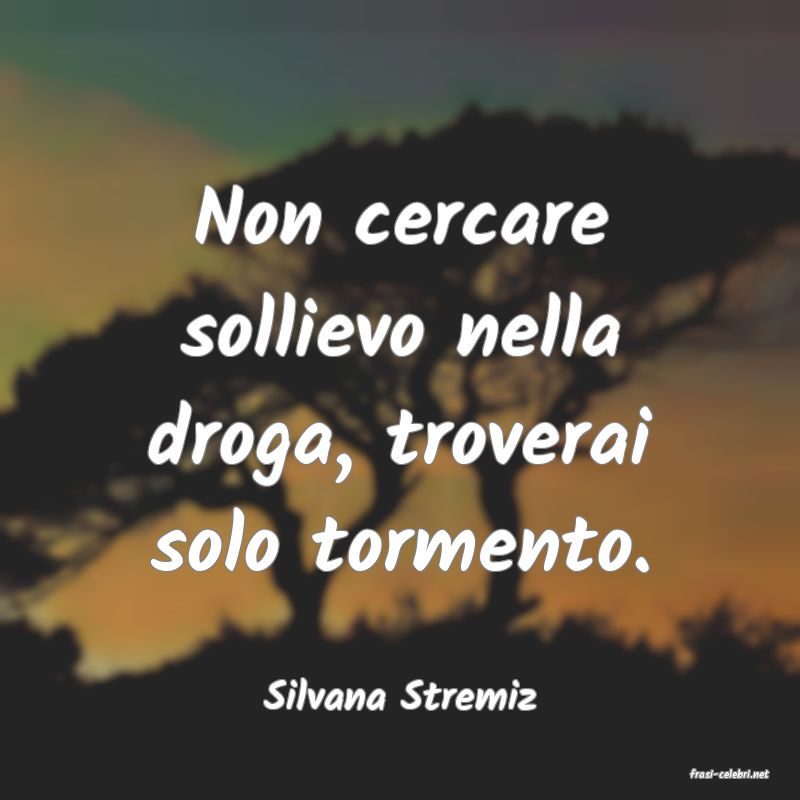 frasi di  Silvana Stremiz
