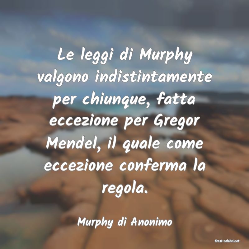 frasi di Murphy di Anonimo