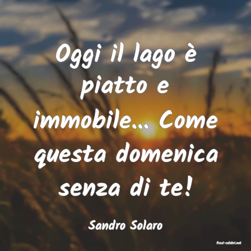 frasi di Sandro Solaro