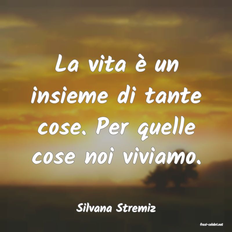 frasi di Silvana Stremiz