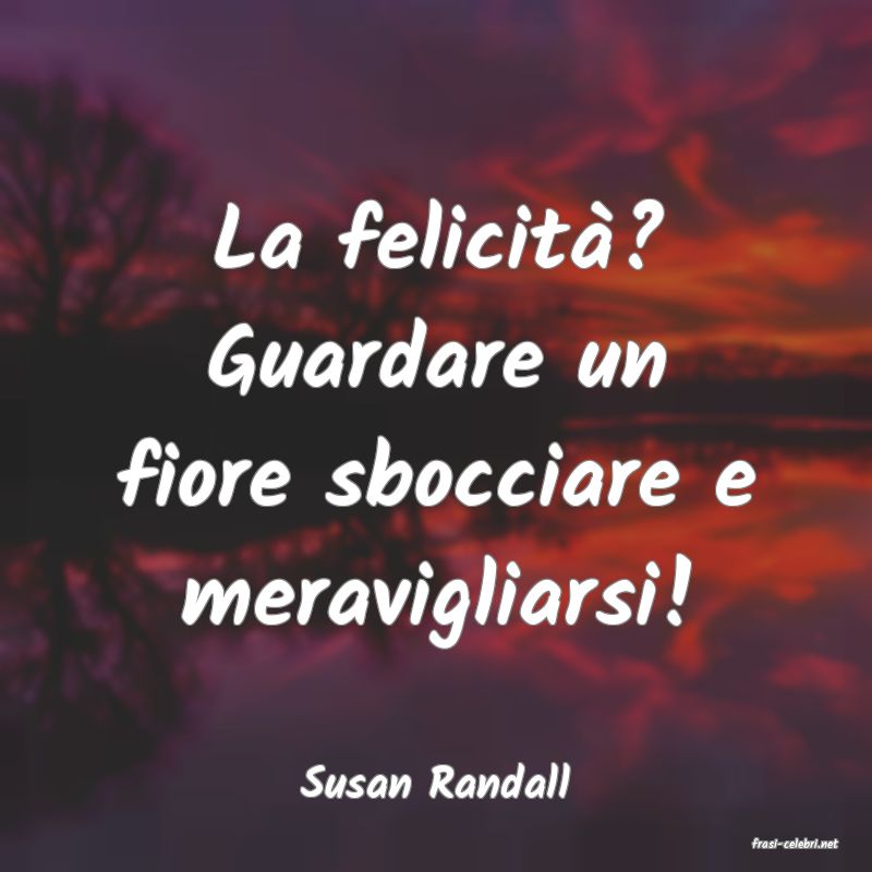 frasi di Susan Randall